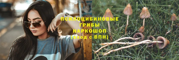 крисы Белокуриха