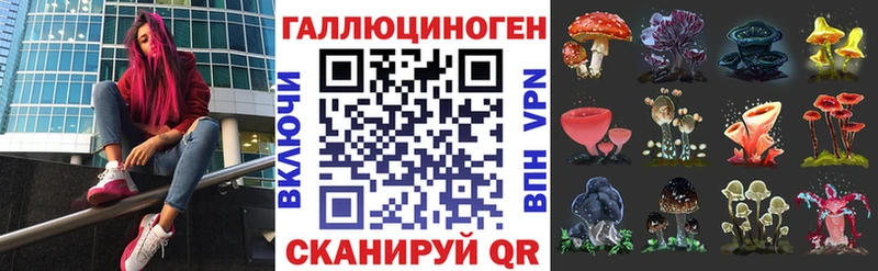 где продают   Шарыпово  Псилоцибиновые грибы GOLDEN TEACHER 